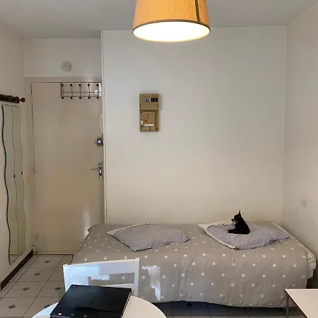 Joli T1